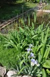 2011_04_24_4926_106.JPG