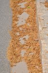 2011_04_24_4976_109.JPG