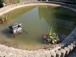 25042011051.jpg