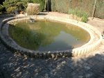 25042011052.jpg