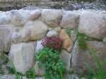 DSCN2686.jpg