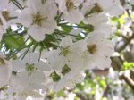 DSCN2681.jpg