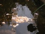 DSCN2713.jpg
