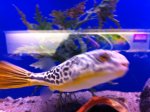 IMG_0677.JPG