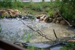 IMG_7069_2011-05-01_01.jpg