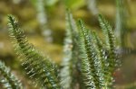 2011_05_07_5636_168.JPG