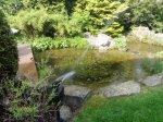 DSC05519.JPG
