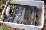 2011_05_11_5935_188.JPG