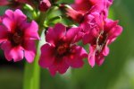 2011_05_13_6098_199.JPG