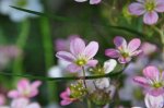 2011_05_13_6103_200.JPG