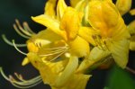 2011_05_13_6105_201.JPG