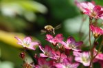 2011_05_13_6108_203.JPG