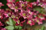 2011_05_13_6111_202.JPG