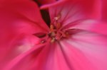 2011_05_13_6123_207.JPG