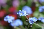 2011_05_13_6116_206.JPG