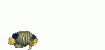 danke10062.gif