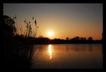 Sonnenuntergang_by_miez33.jpg