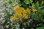 2011_05_20_6484_266.JPG