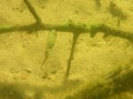 Bilder bis März 2011 485.jpg Bilder bis März 2011 485.jpg