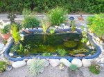 Teich.jpg Teich.jpg