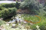 garten eins.jpg