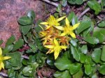 DSCN2921.jpg