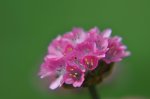_DSC0029.jpg