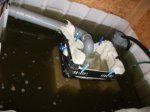 DSCF1771.jpg