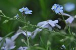 _DSC0055.jpg