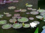 IMG_3201.JPG