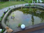 teich17jpg.jpg teich17jpg.jpg