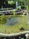 teich14jpg.jpg teich14jpg.jpg