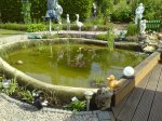 teich13jpg.jpg teich13jpg.jpg
