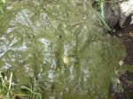 DSC02349.jpg