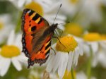 2011_06_11_7554_415_1.jpg
