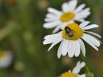 2011_06_11_7557_414_1.jpg