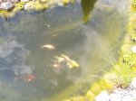 100_1521.jpg