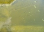 100_1525.jpg