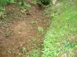 DSC01244 verkleinert.jpg
