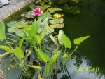 Juni - 2011 034.jpg
