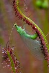 20110616_0393_abends.jpg