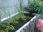 DSC01268.jpg