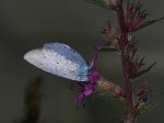 P1280663rr.jpg