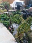 DSC00886.JPG