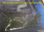 Kescherfilter.jpg