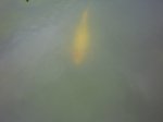 DSCI0577.jpg