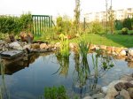 2177-Gartengestaltung102.jpg 2177-Gartengestaltung102.jpg