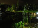 2177-Gartengestaltung103.jpg 2177-Gartengestaltung103.jpg