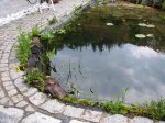 Steilufer an Terrasse 2.JPG Steilufer an Terrasse 2.JPG