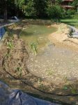 Teich 9.jpg